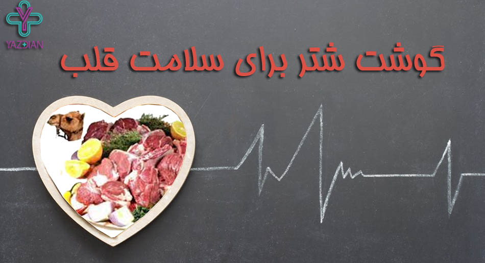 گوشت شتر برای حفظ سلامت قلب